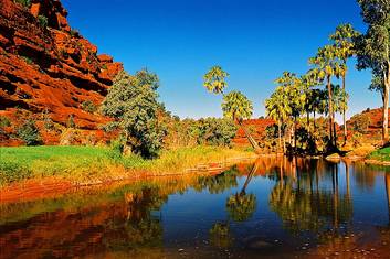 1 Day Palm Valley 4WD Adventure